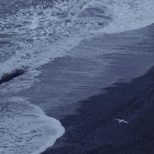 直男大鸡巴在线播放
