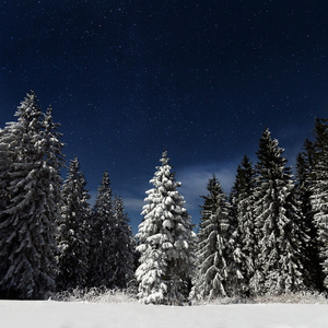 直男大鸡巴在线播放
