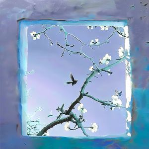 直男大鸡巴在线播放
